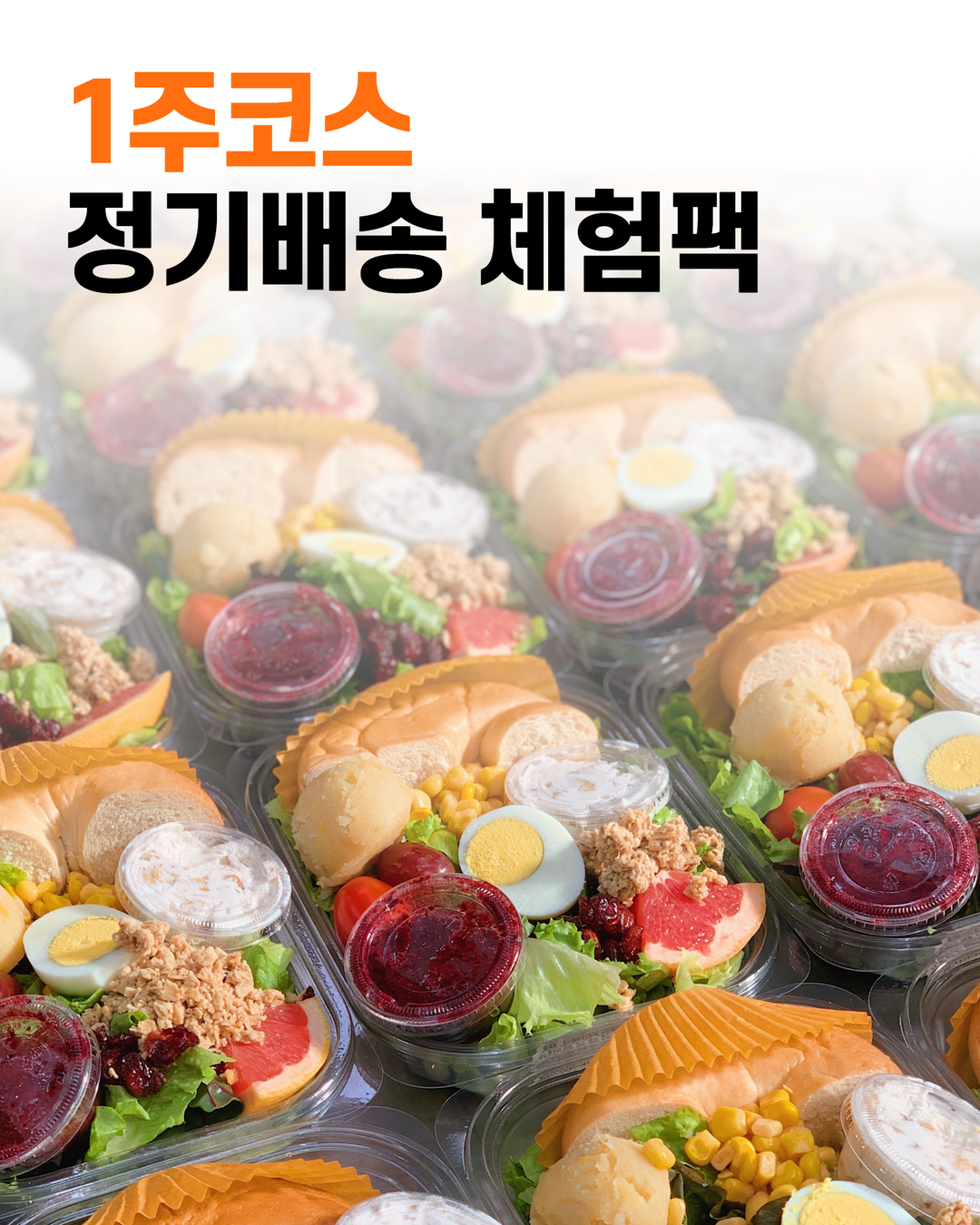 정기배송 체험팩